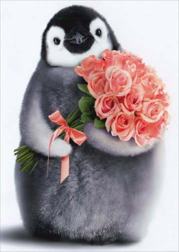 Amazon.com: Penguin with Flower Bouquet - Avanti Birthday Card